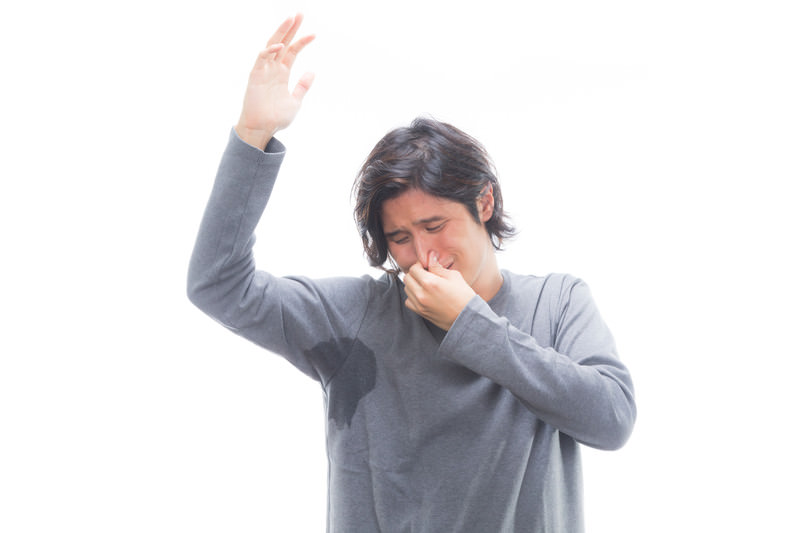 THC はどのように体内を移動し、分解 (代謝) するのでしょうか?